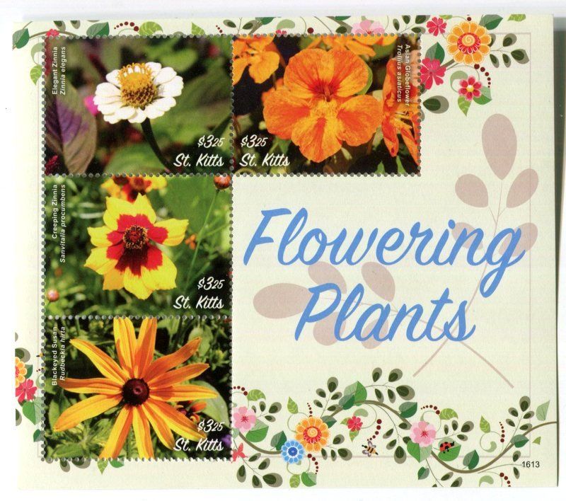 Tutti i francobolli: Block "Blumen". St. Kitts. – Nuovo e nell'imballaggio originale da Basel venduto da Butsch5