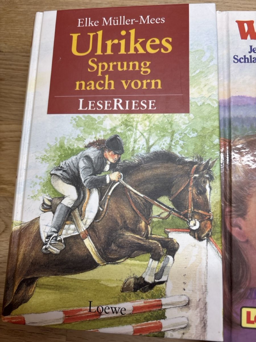 Libri: Pferdebücher 4x  – Usato da Rickenbach b. Wil venduto da Tweeny02 1