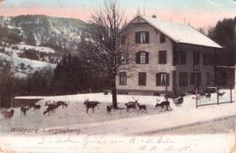 Langnau am Albis ZH // 1903 Wildpark Langenberg