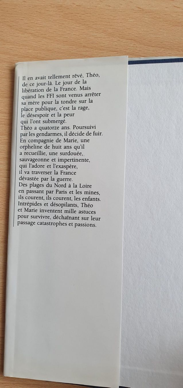 Libri: Jacques Duquesne Théo et Marie – Usato da Moutier venduto da mai_pq7w 1