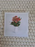 Johannes Albert - Hotel Novalis Promotional Copy