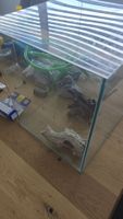 30L Aquarium Komplettset mit Filter, LED, Futterspender etc