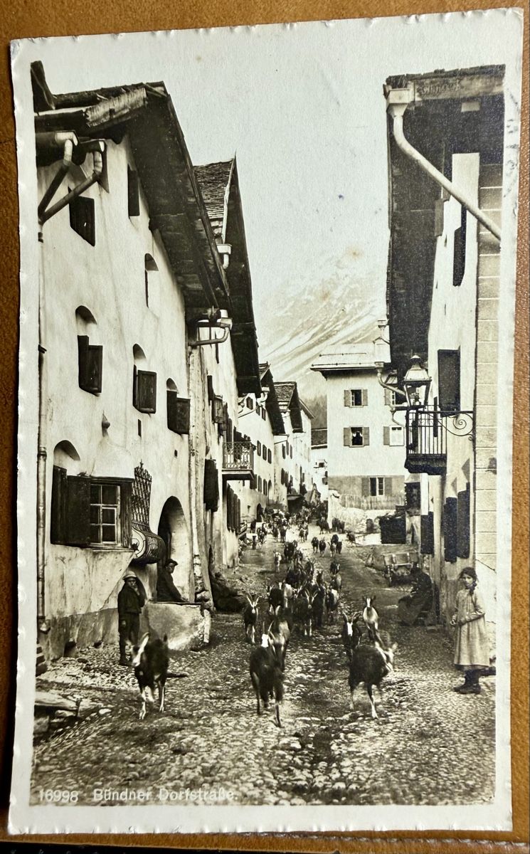 Cartoline postali: CELERINA - Chèvres dans la rue  1916 – Usato da Lutry venduto da Ediego