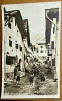 CELERINA - Chèvres dans la rue  1916