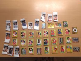 493 Panini Sticker +das ganze Cola team
