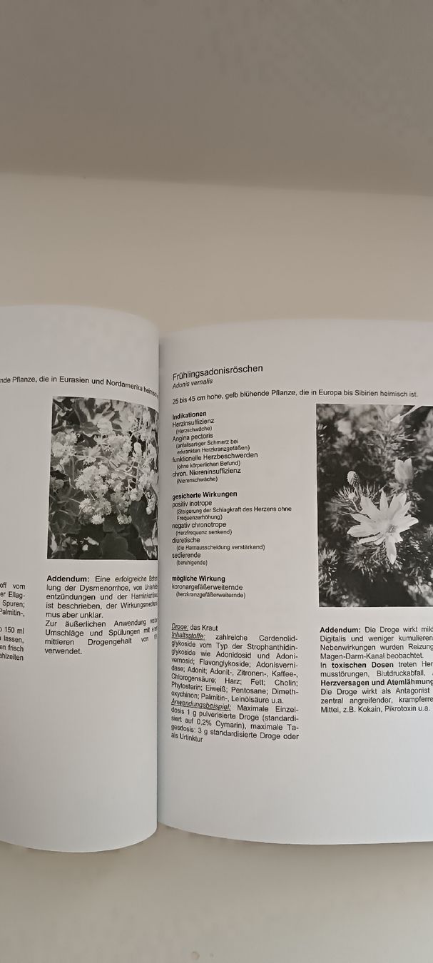 Libri: Phytotherapie Heilpflanzen Buch – Nuovo e nell'imballaggio originale da Geroldswil venduto da Smartie1987 1