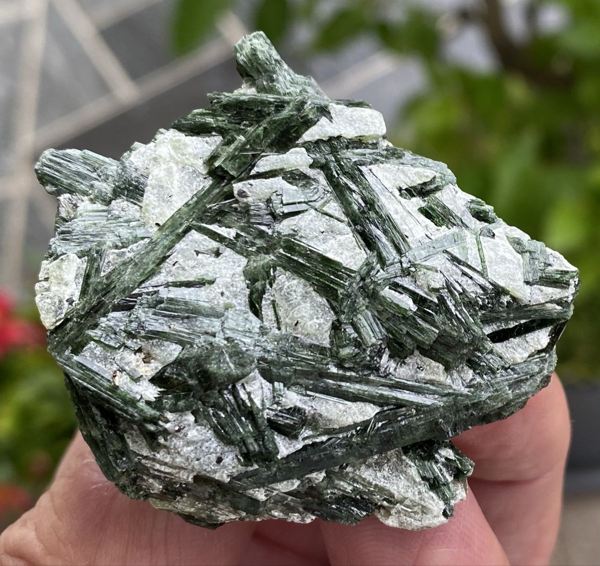 Mineralien & Heilsteine: Top Aktinolith  – Gebraucht aus Selzach von 321compac