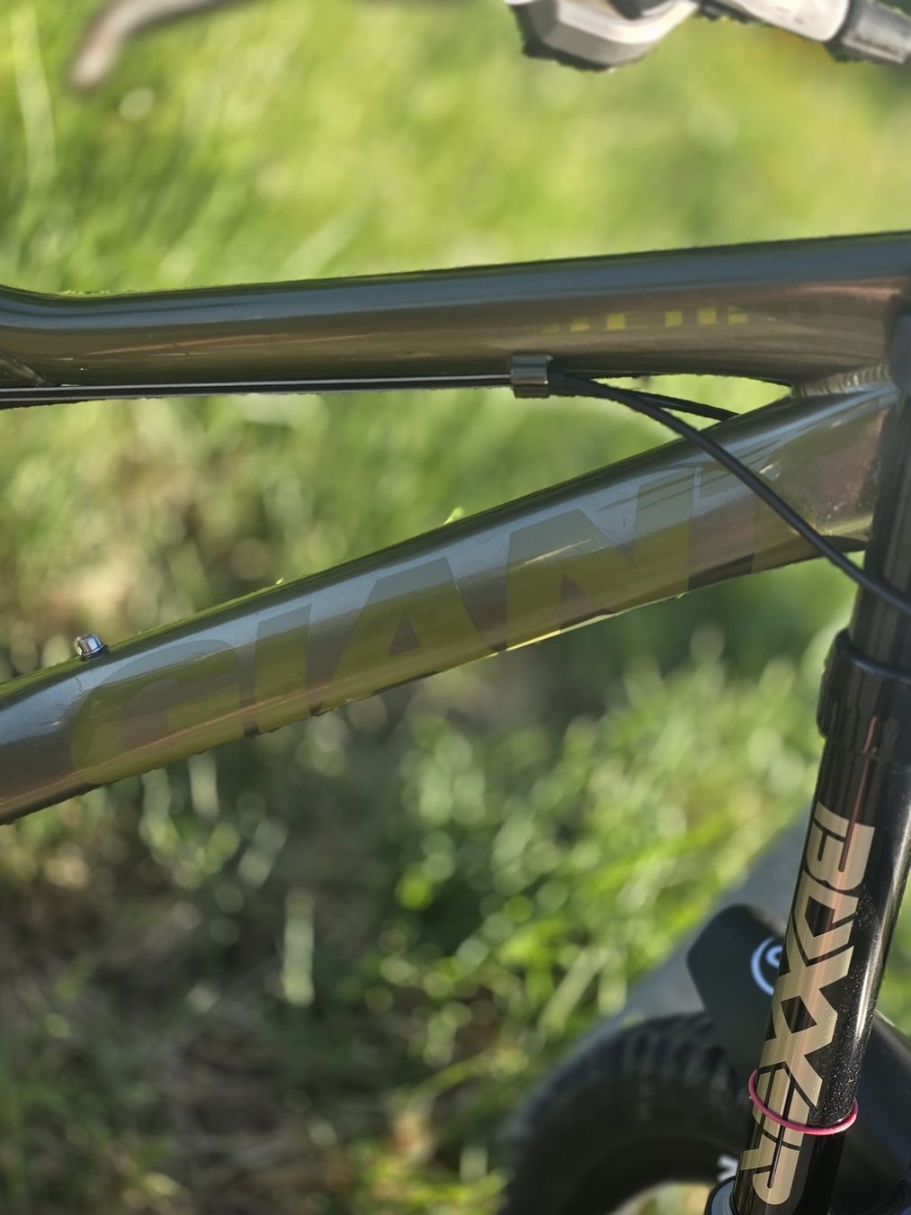 Giant Biciclette: Giant Reigen Downhill – Usato da Wetzikon ZH venduto da Sina1998 4