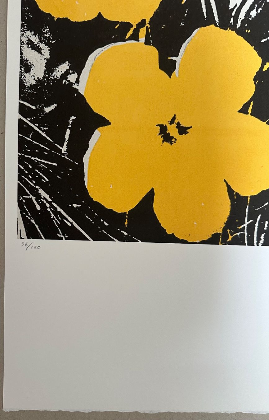 Foto & Immagini: Andy Warhol: Flowers 56/100 – Nuovo (secondo la descrizione) da Meilen venduto da Smgdesign 1