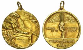 Goldmedaille o. J. (1930), Armeekorps von Bari, RRR!