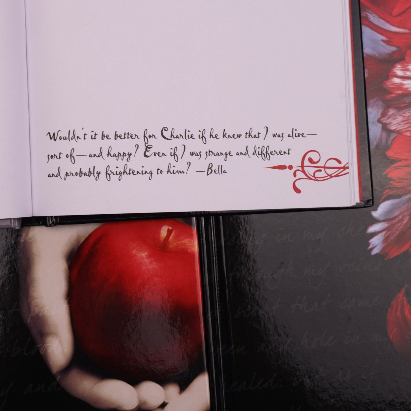 Libri: The Twilight Saga Journal Set – Usato da Volketswil venduto da brockipfannenstil 9