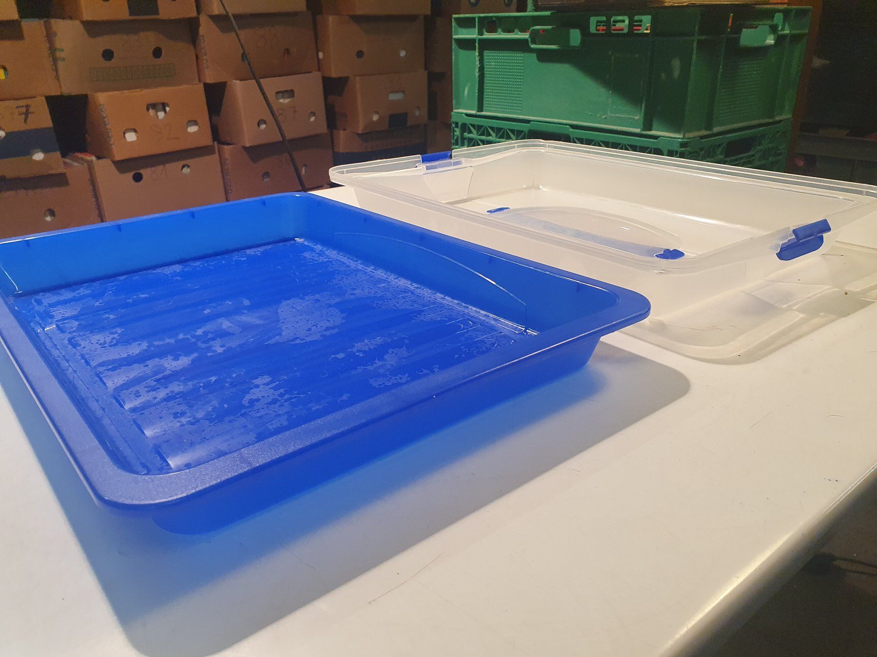 Rotho Contenitori & Simili: M-Rotho Keksbox – Usato da Zürich venduto da loosebone 2