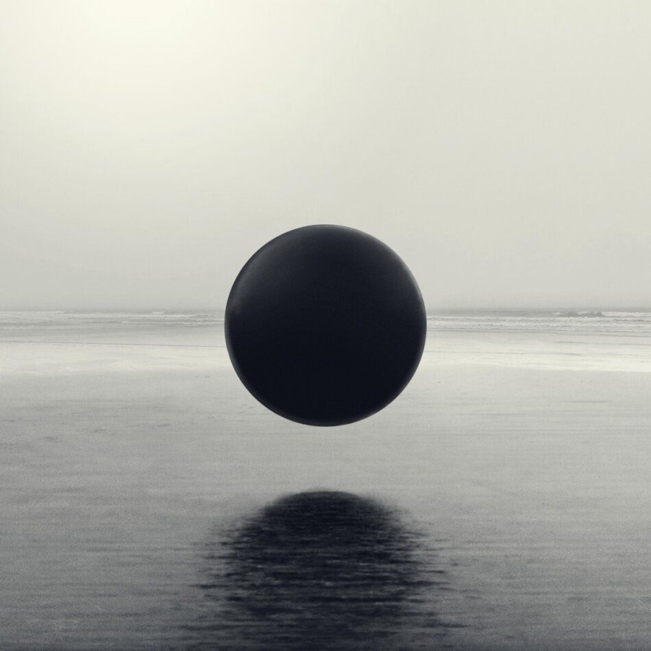 CD: Braids Flourish // Perish – Usato da Uzwil venduto da visions77