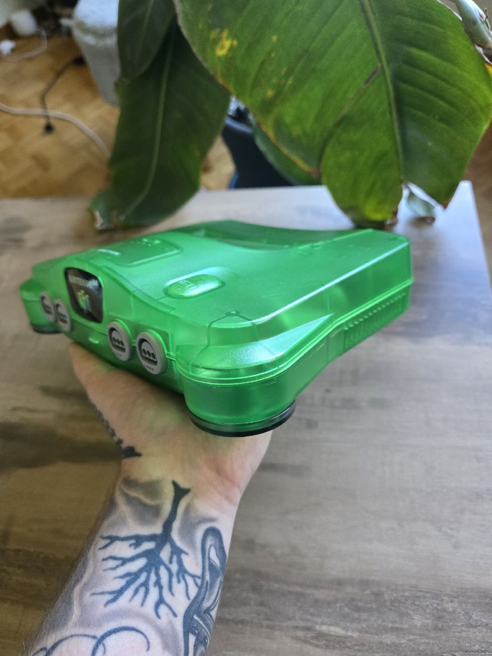 Nintendo Konsolen: Nintendo 64 Jungle  – Gebraucht aus Bôle von A_Kickstory 6