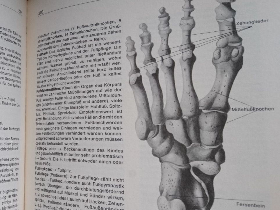 Libri: Das grosse Gesundheits Lexikon – Usato da Luzern venduto da Einh0rn 4