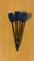 Darts Set Shot Vikings 20gramm