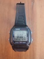 Casio Iluminator
