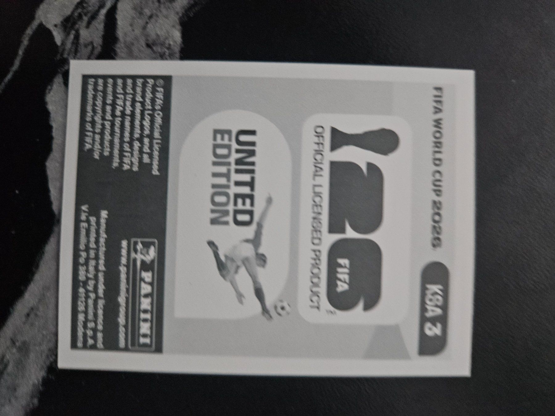 Panini Carte collezionabili: KSA 3 – Usato da Würenlingen venduto da Dinli 1