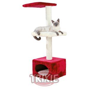 Katzenbaum - Kratzbaum: Kratzbaum Elena – Gebraucht aus Tegerfelden von huustiershop