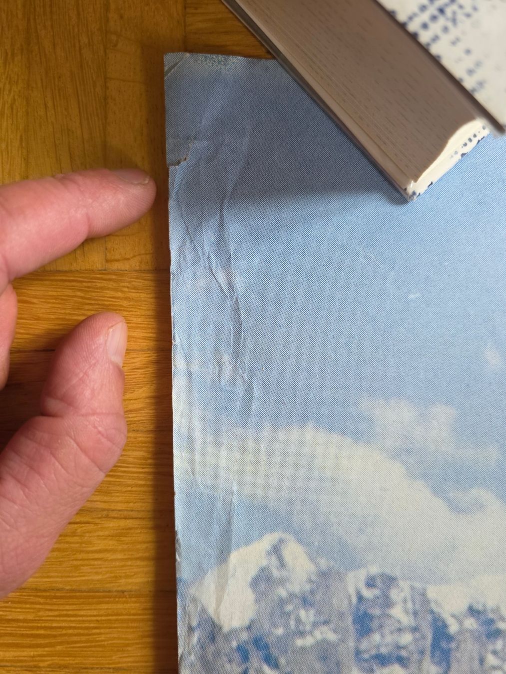 Foto & Immagini: Altes Verbier Poster – Usato da Bern venduto da Poobah 5