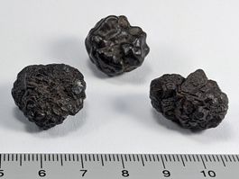 Prophetenstein/Limonit-Pyrit 3Stk. 17 bis 26mm
