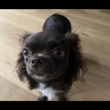 Profile image of Burton_girl18
