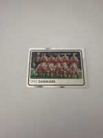 Panini UEFA EM 2008 Sticker - Nr. 532