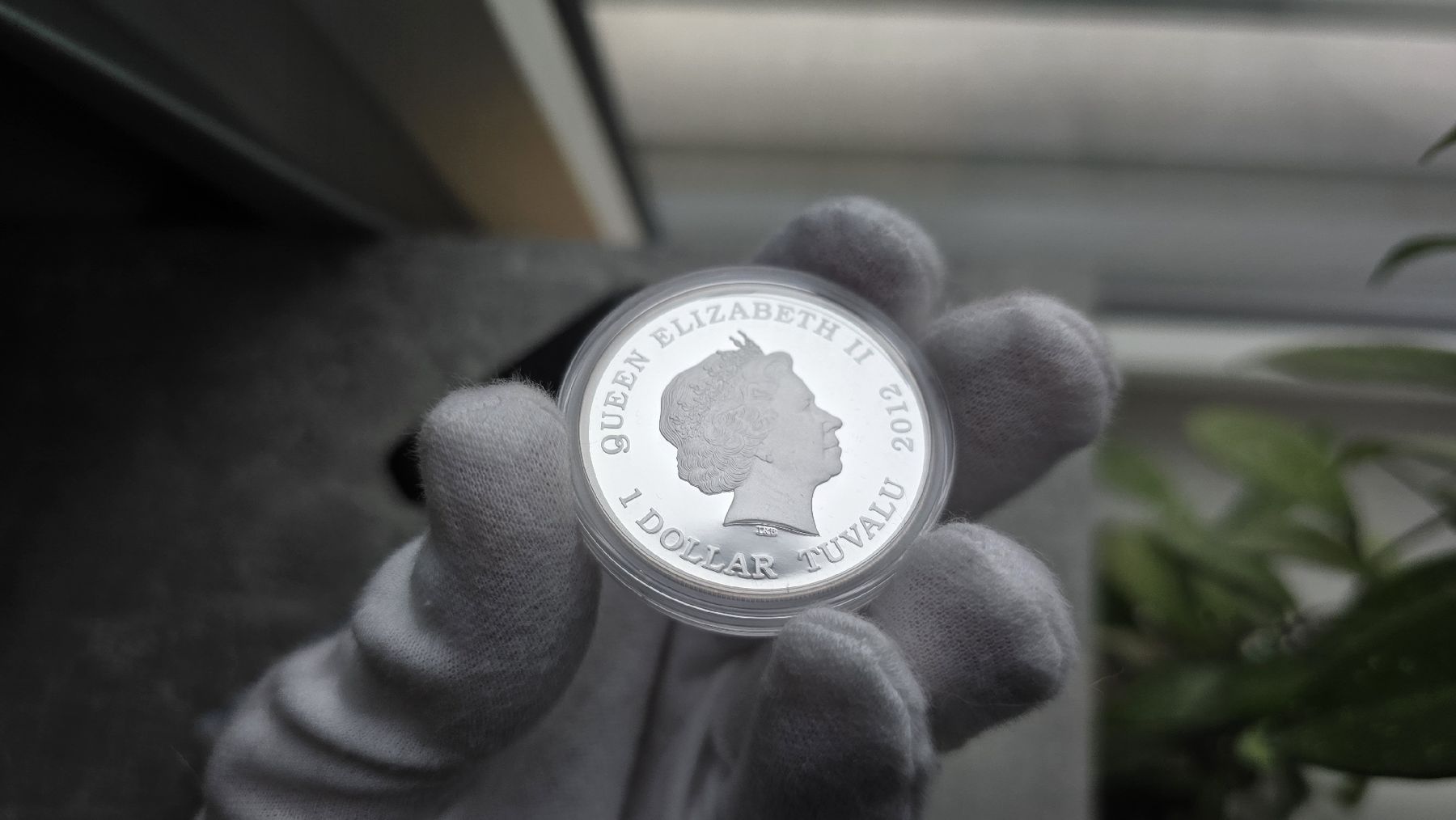 Alle Münzen: 1 oz Silber Tiger Wildlife in Need Proof Farbe 2012 – Neu (gemäss Beschreibung) aus Petit-Lancy von SilverCoinCoin 4