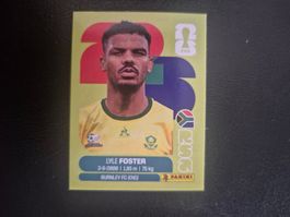 Panini WM 26 RSA 17