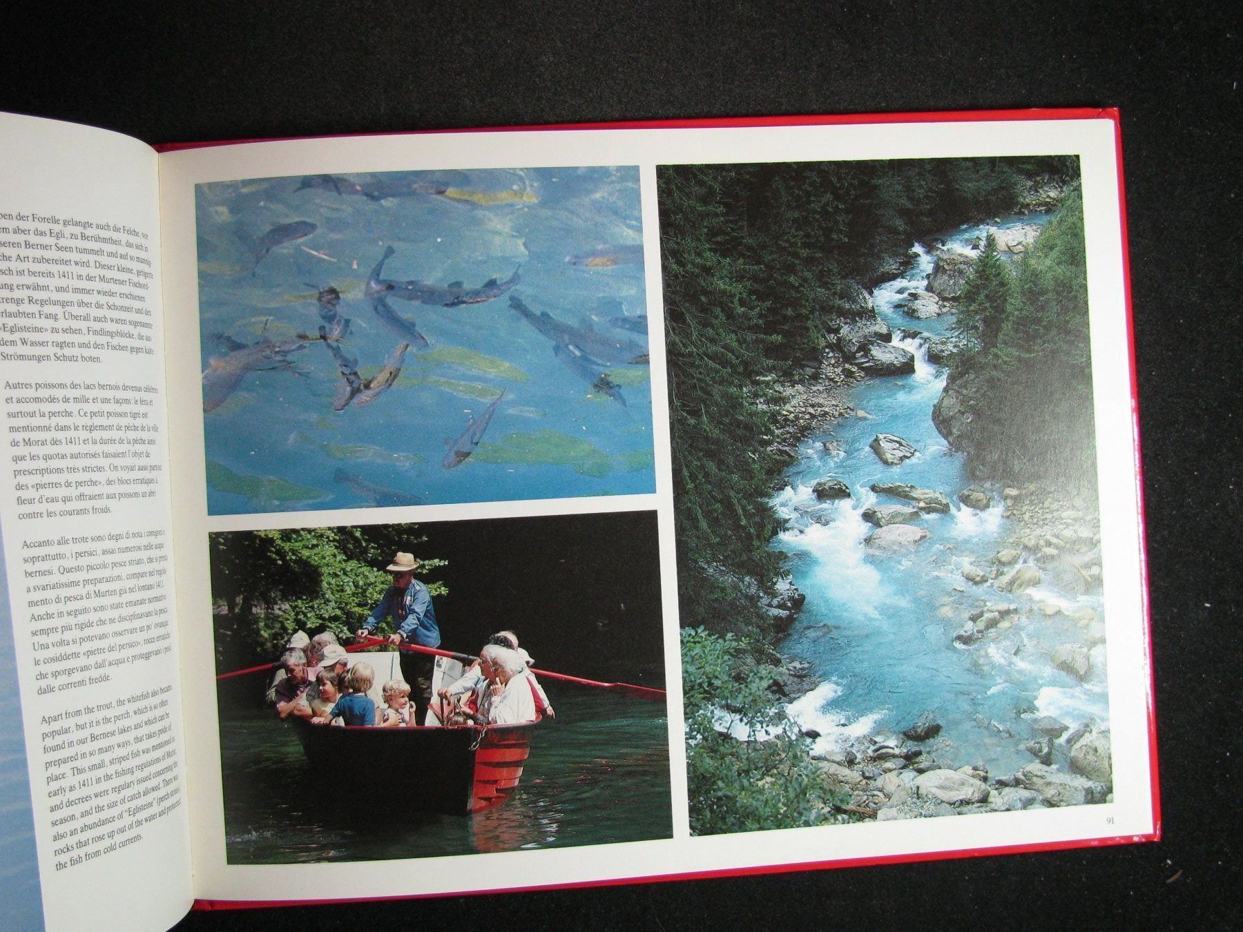 Libri: Bärne Bode , Bärner Chuchi D, F, I, E – Usato da Reitnau venduto da Zaomir 8