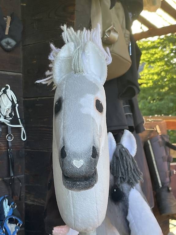 Giocattoli: Hobby Horse CENNET – Usato da Susten venduto da Kht_formidable 1