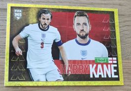 Harry Kane - Panini FIFA 365 Nr. 366  ⚽🏆