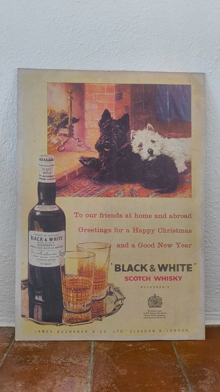 Foto & Immagini: Vintage poster – Usato da Pedrinate venduto da Abitandmore
