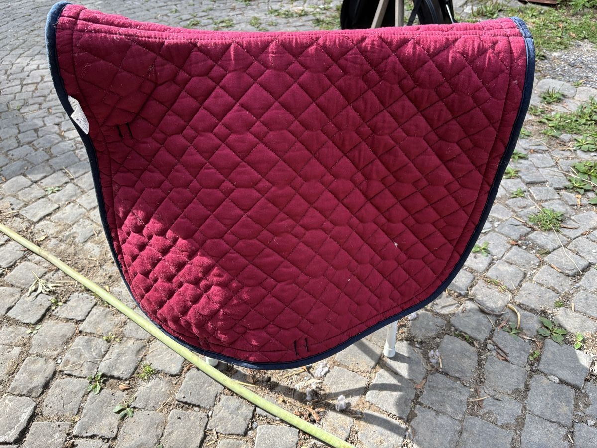 Sattel & Sattelzubehör: Schabracke  – Gebraucht aus St. Gallen von may_8fbd 4