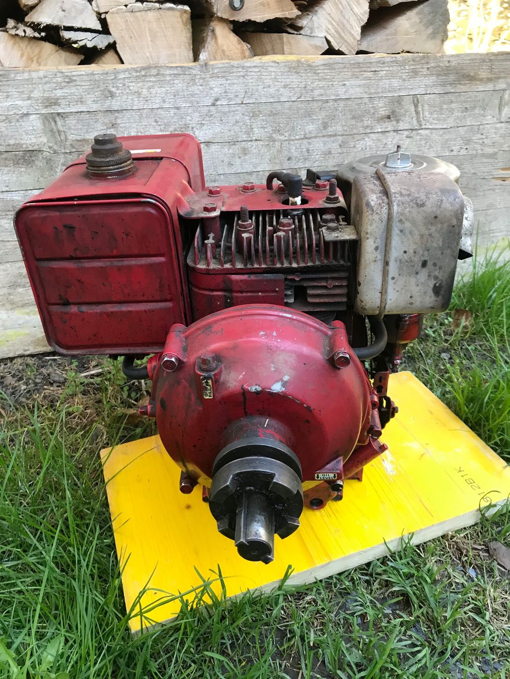 Motori: Benzinmotor Briggs stratton – Usato da Elm venduto da 2084SRB 3