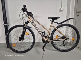 Scott Lady Cross 10 Fahrrad (Rahmengröße M)