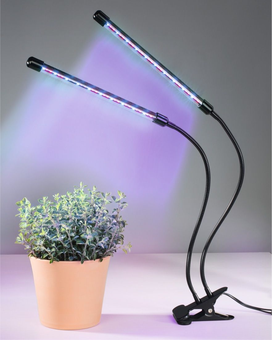 Hama Lampade: LED-Pflanzenleuchte "Stick" – Usato da Uster venduto da Hotzli 1