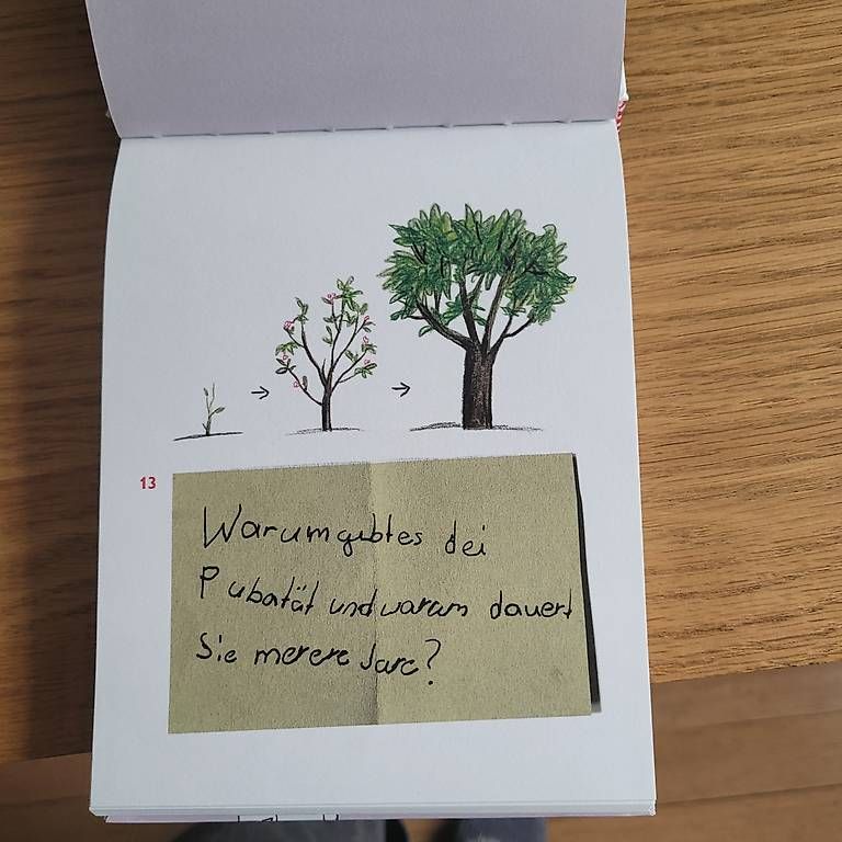 Libri: Aufklärungsbuch mit echten Kinderfragen – Usato da Winterthur venduto da pajk12 1