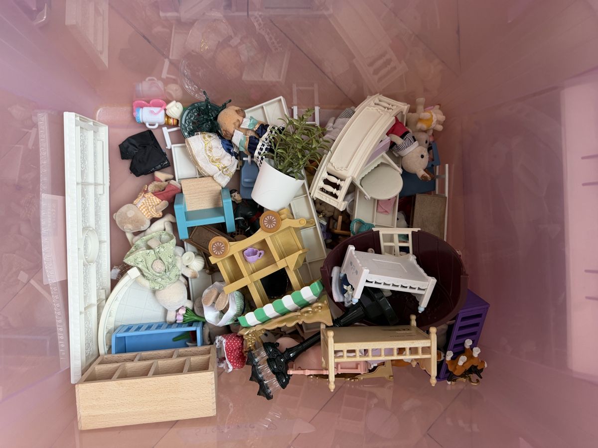 Sylvanian families Giocattoli: Sylvanian Family bundle / set – Usato da Winterthur venduto da car_8hld 2