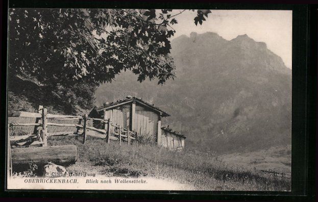 Cartes postales: Oberrickenbach, Blick nach Wallenstöcke – D'occasion à Berlin par bartko-reher