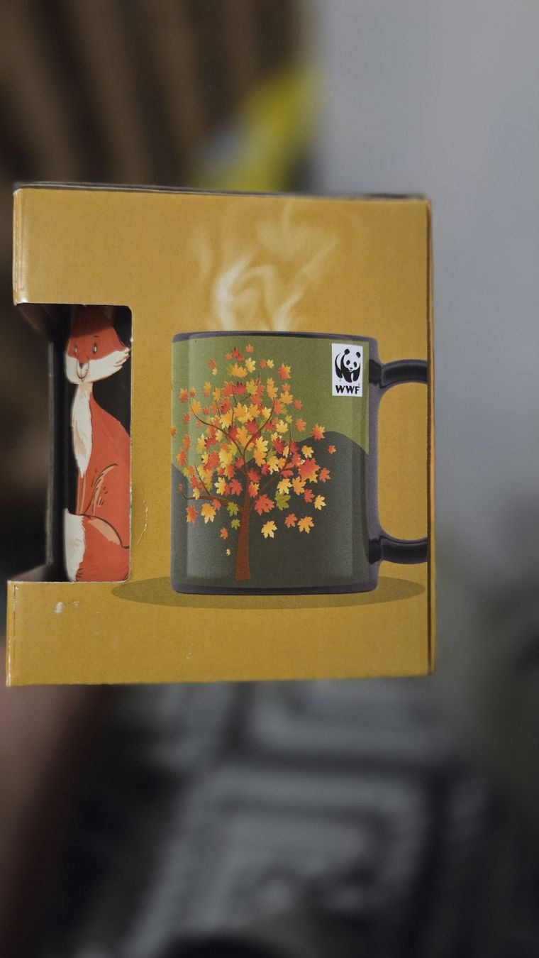 Coop Tazze: Tassen Magic Cups – Nuovo (secondo la descrizione) da Winterthur venduto da fah_ph2n 1