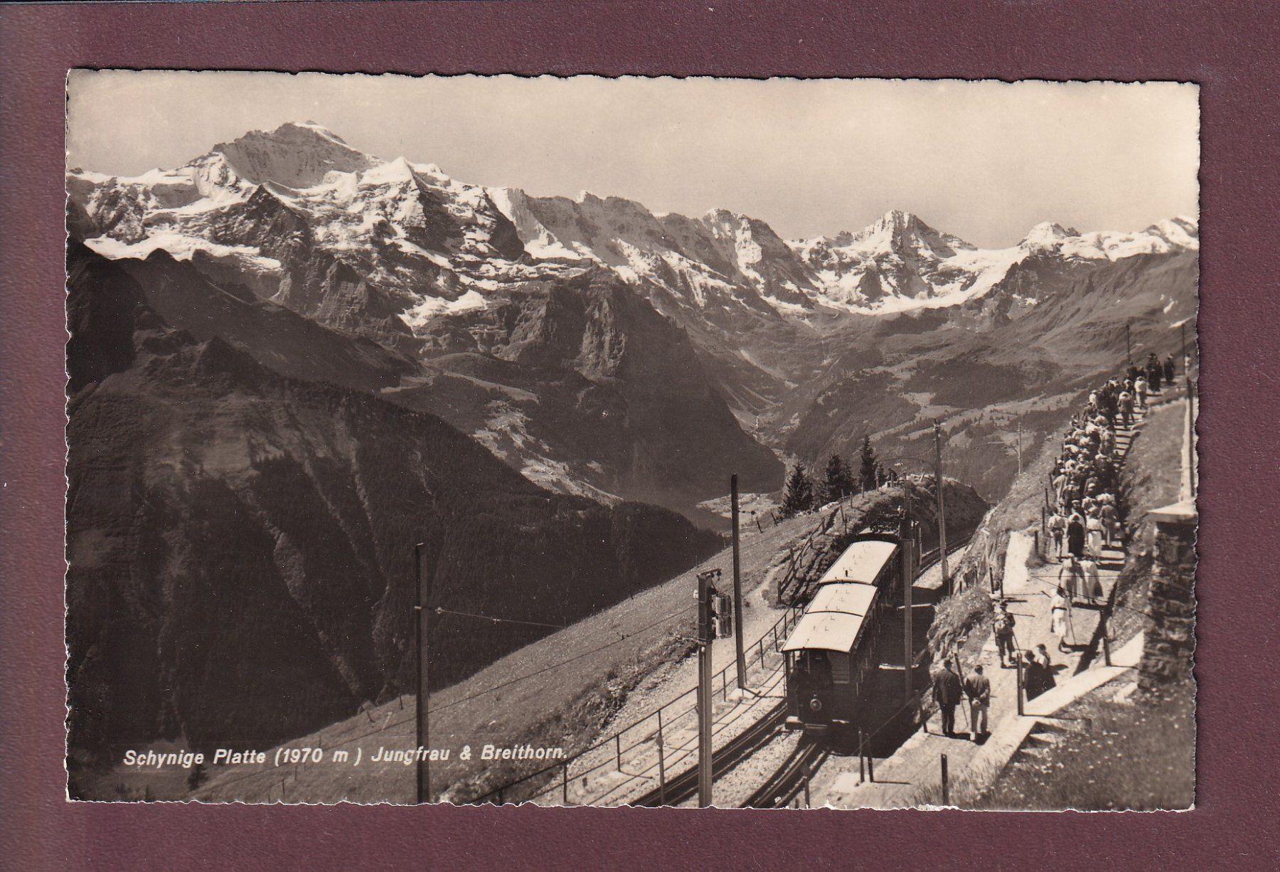 Cartes postales: SCHYNIGE PLATTE - Bahn – D'occasion à Pully par nicecards
