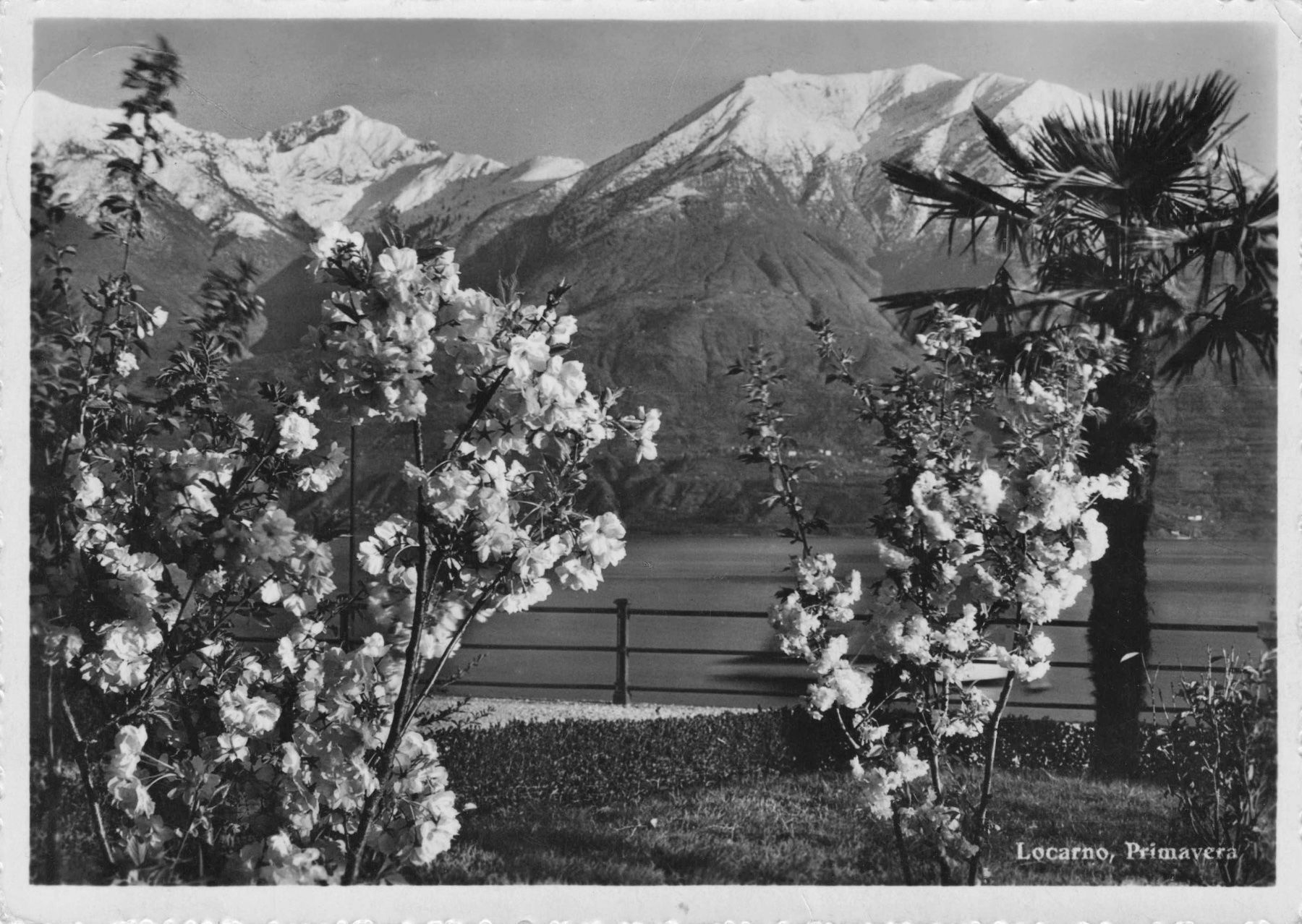 Cartoline postali: Locarno A – Usato da Biasca venduto da Blenio71