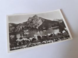 HERBST IDYLL am ARNISEE - 1963 - AMSTEG