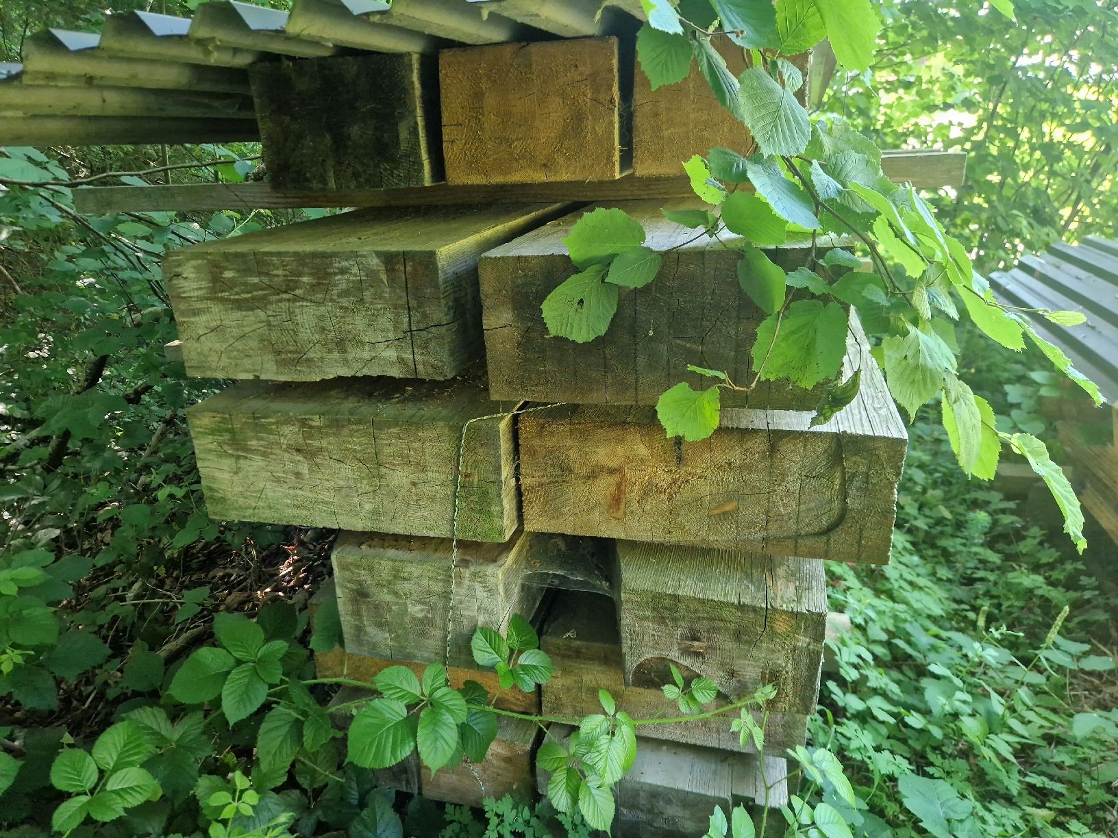 Articles en bois: Holzbalken – D'occasion à Schachen b.Herisau par Peacemaker3 5