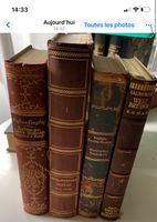 4 Klassiker Halbleder 1900-1935 - Galsworthy Nobel + Freytag