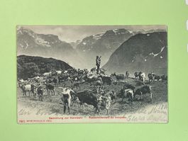 Sammlung zur Heimkehr