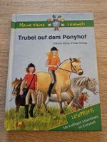 Kinderbuch Lesewelt Trubel auf dem Ponyhof