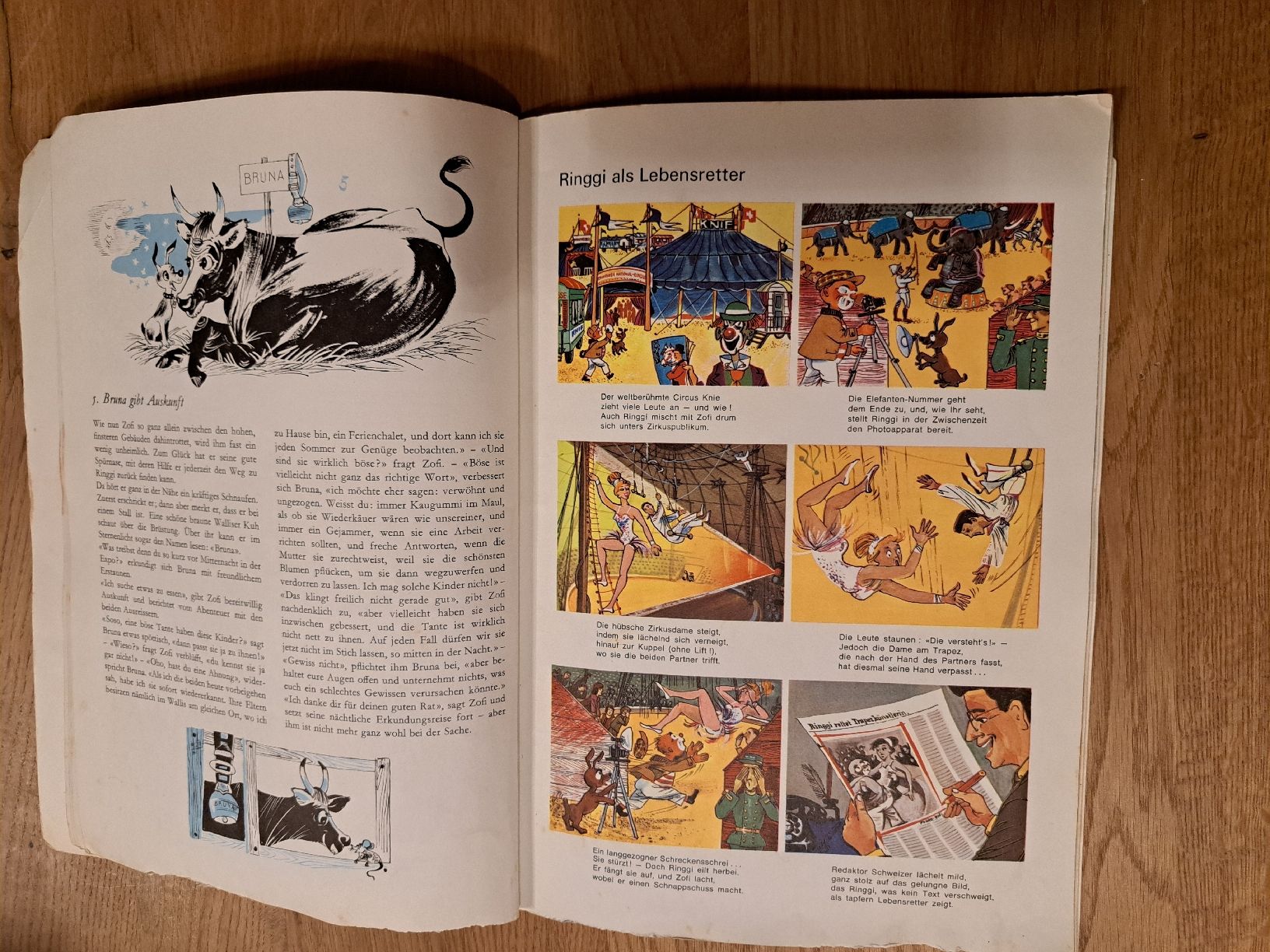 Comics: 2 Ringgi und Zofi Bilderbücher Ringier  – Gebraucht aus Pratteln von mab_f2fz 3