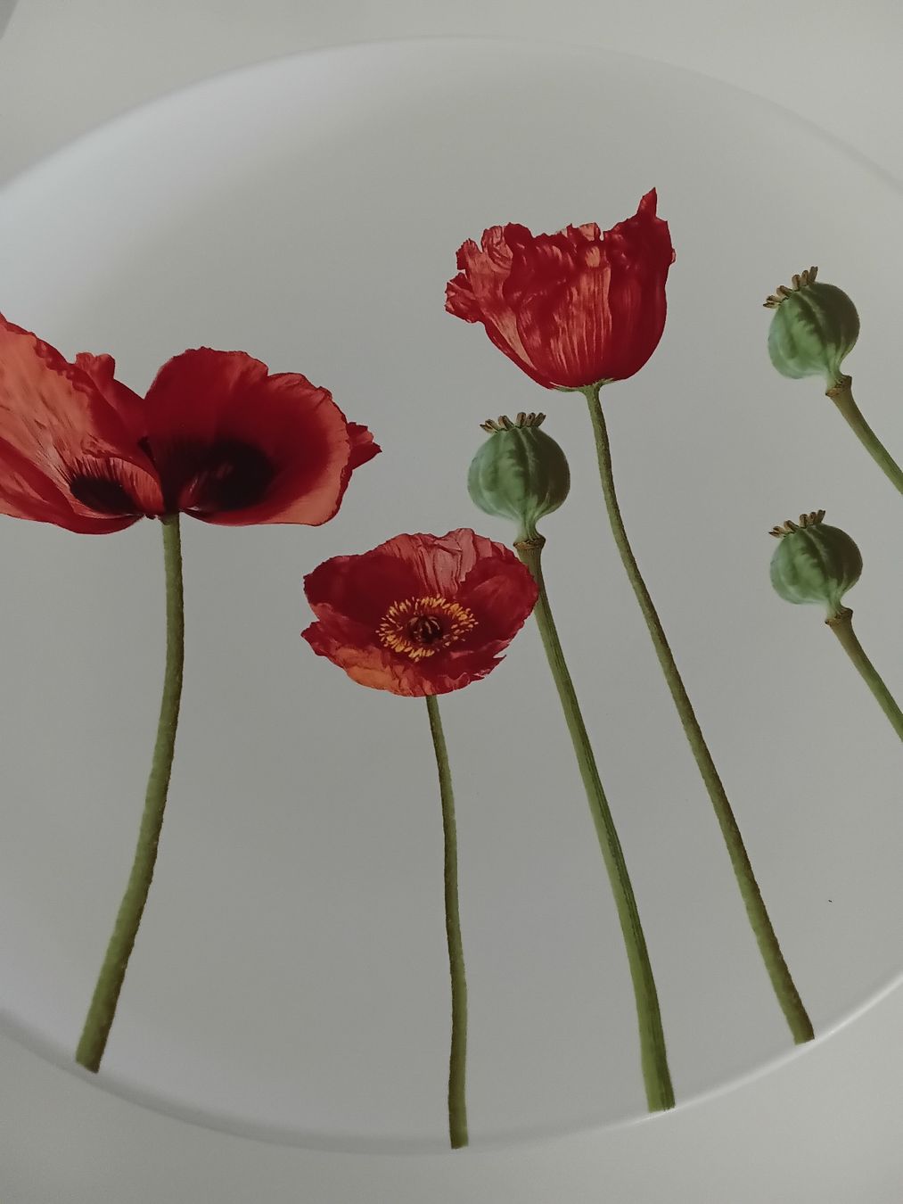 Piatti di portata: Decorative Plate with Poppies, ceramic, Diameter 37cm x 6cm  – Usato da Immensee venduto da vgitter 1
